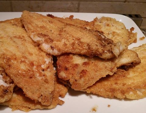 fried fish