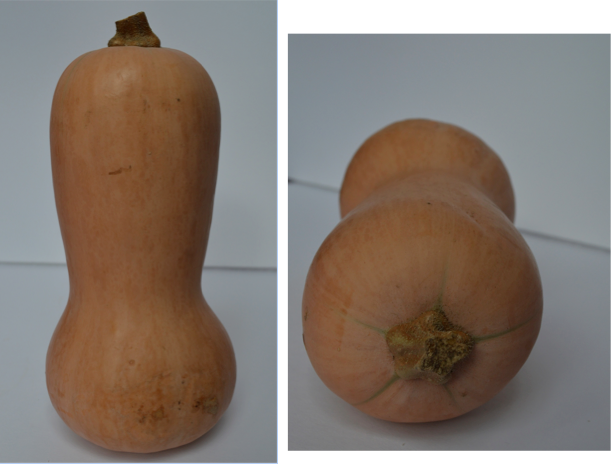How To Use Squash