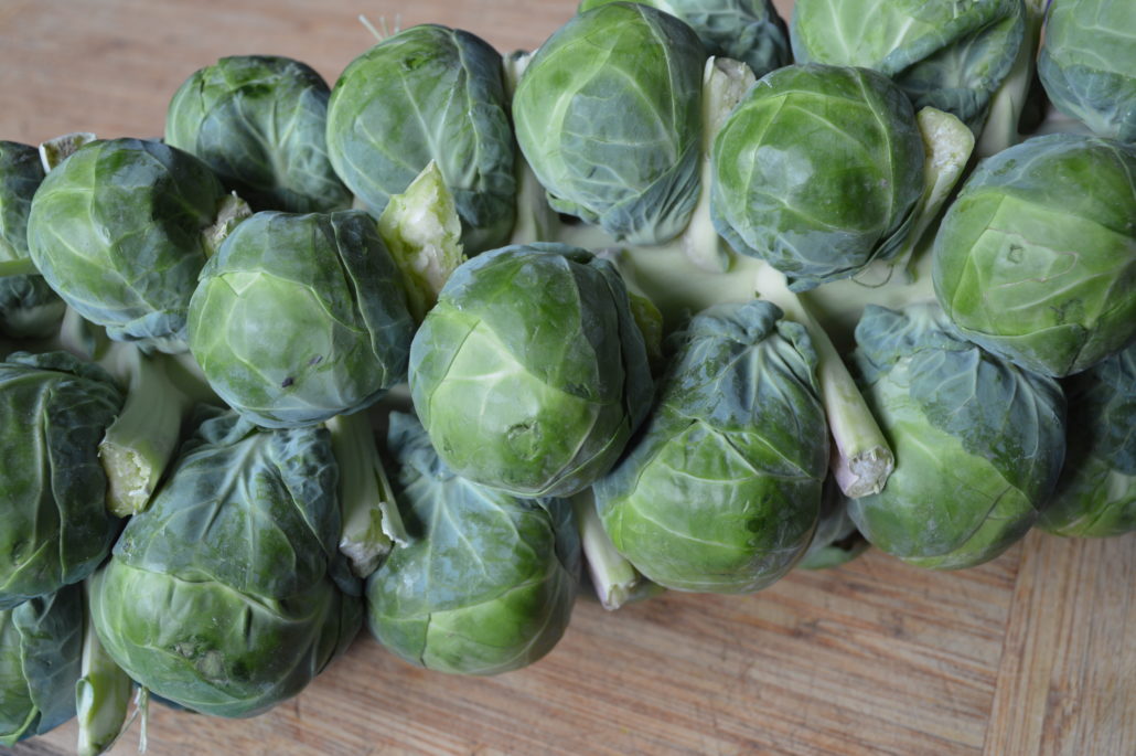 Brussel Sprouts