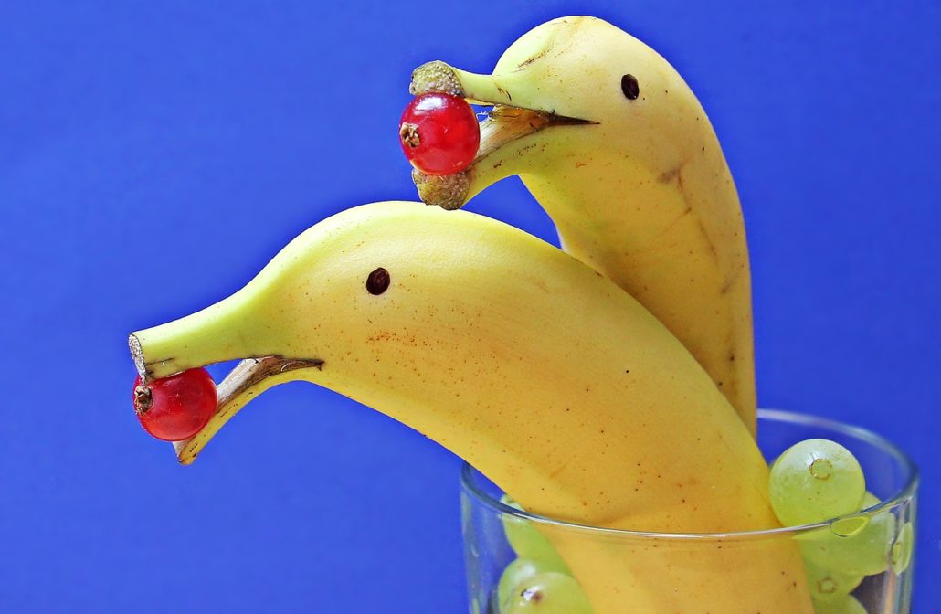 delfin-bananas-1737836_1280