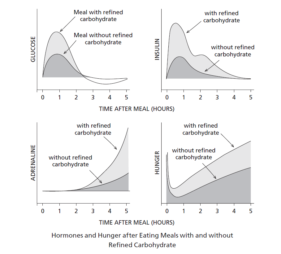 Carbohydrate Metabolism Chart
