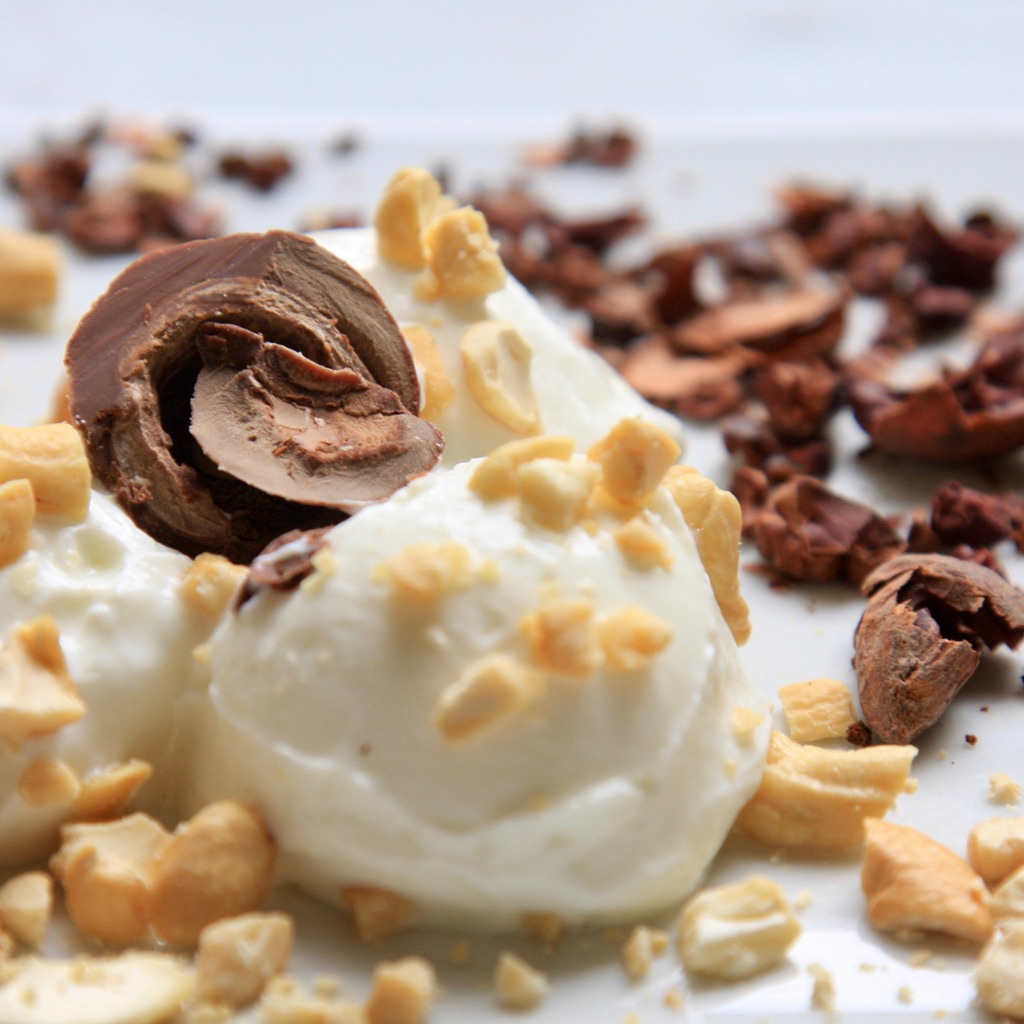 Chef Kenzie's Dairy Free Coconut Cashew "Cream" Dessert Chef Kenzie's Dairy Free Coconut Cashew "Cream" Dessert